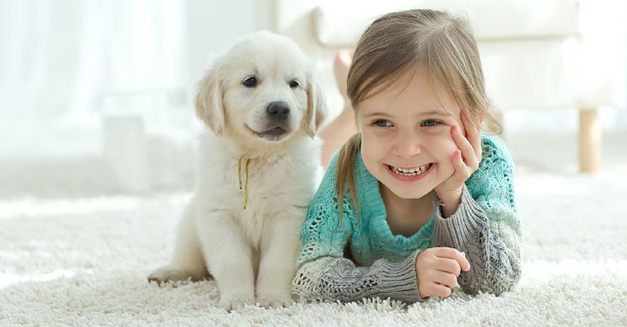 Little girl playing with a white dog on a carpet.