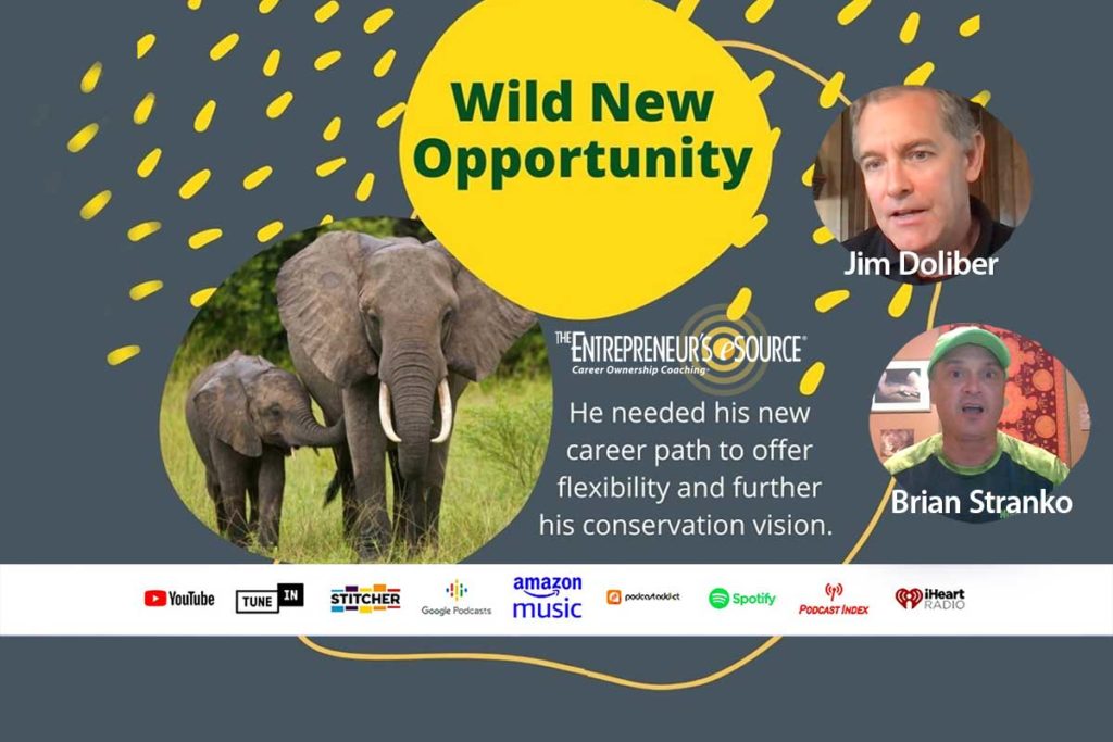 wild new opportunity thumbnail
