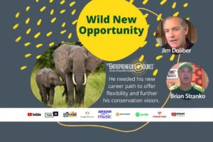 wild new opportunity thumbnail