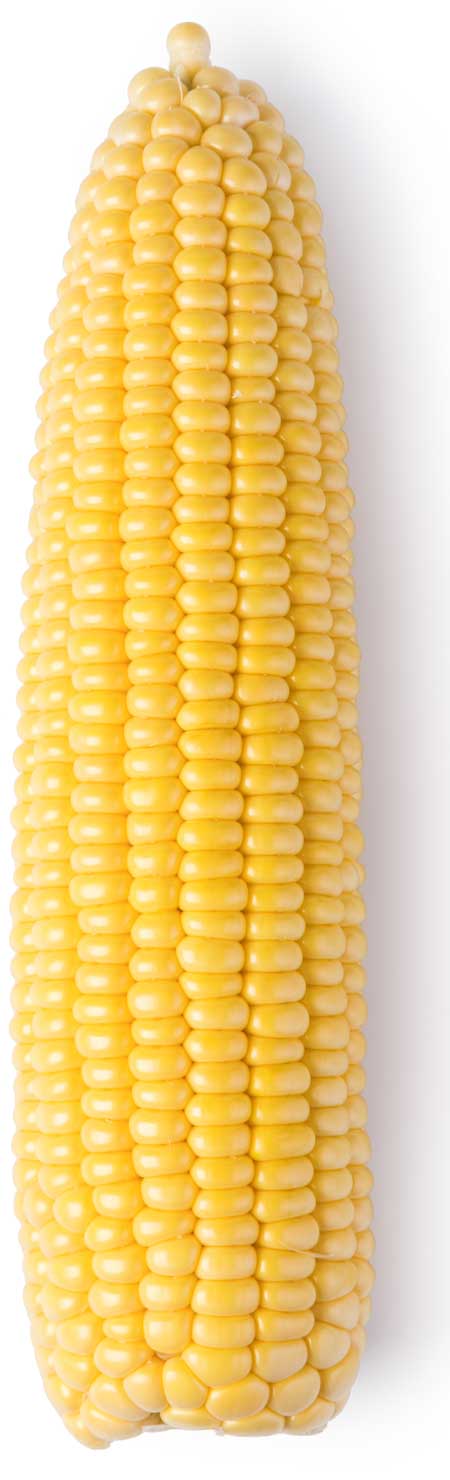corn
